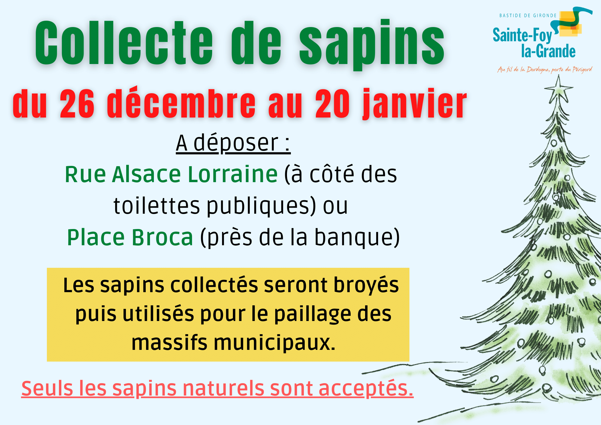 Collecte de sapins